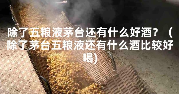 除了五粮液茅台还有什么好酒？（除了茅台五粮液还有什么酒比较好喝)