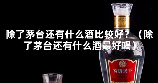 除了茅台还有什么酒比较好？（除了茅台还有什么酒最好喝）