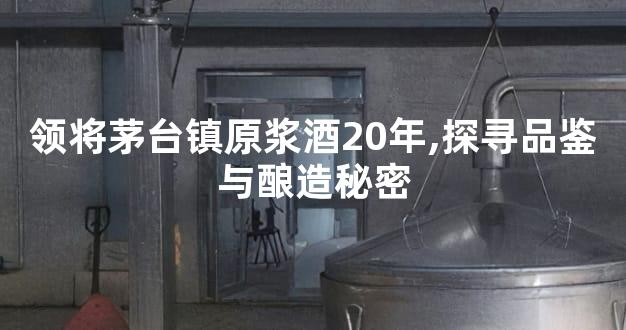 领将茅台镇原浆酒20年,探寻品鉴与酿造秘密