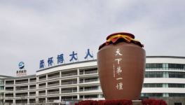 江苏洋河酒厂股份有限公司 公司营销策略和发展方向