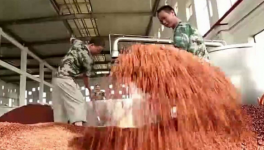 粮食酒的国标代码是什么，这个代码有什么作用